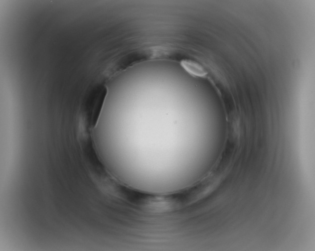 X0000114430316200910161037