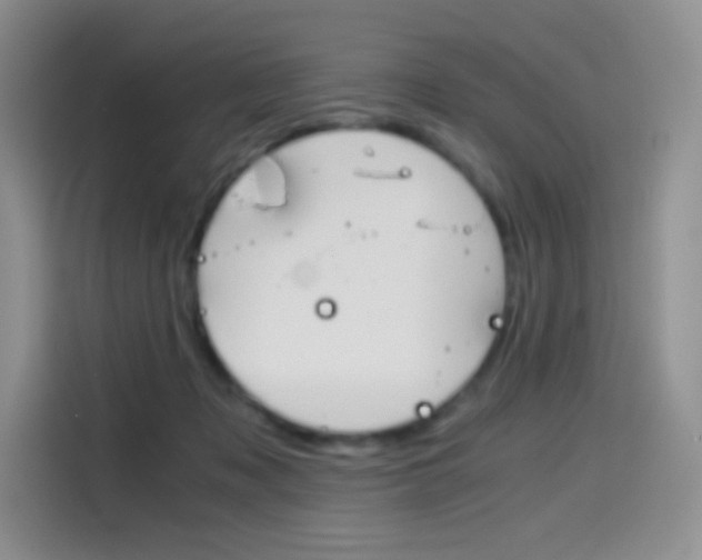 X0000114430317200910161037