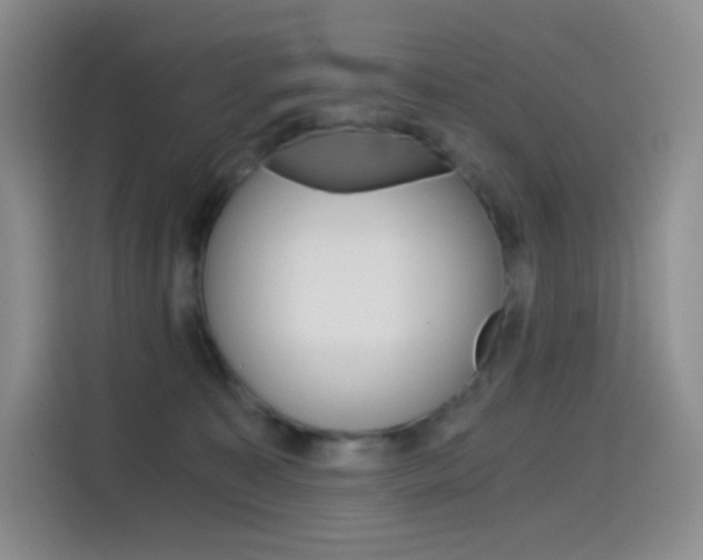 X0000114430323200910161037
