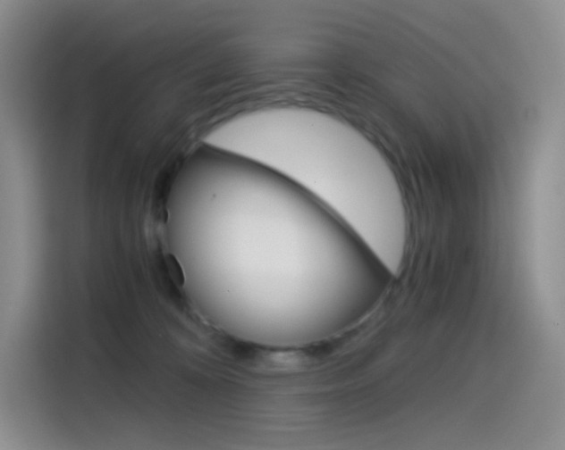 X0000114430324200910161037