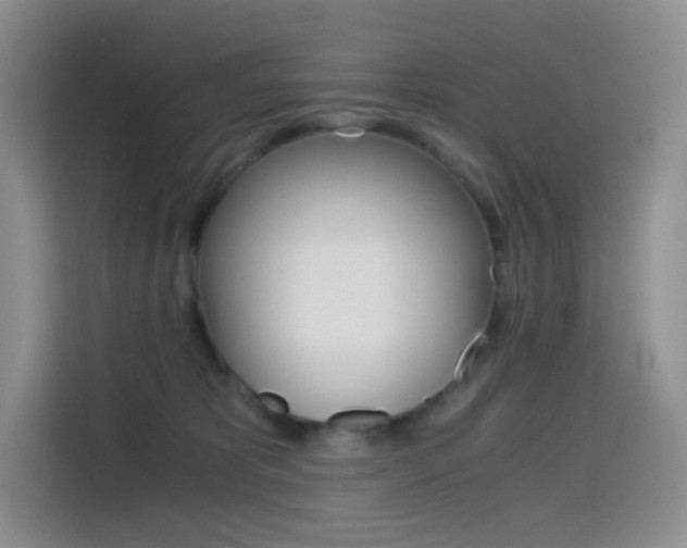 X0000114430325200910161037