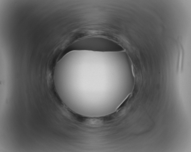 X0000114430327200910161037