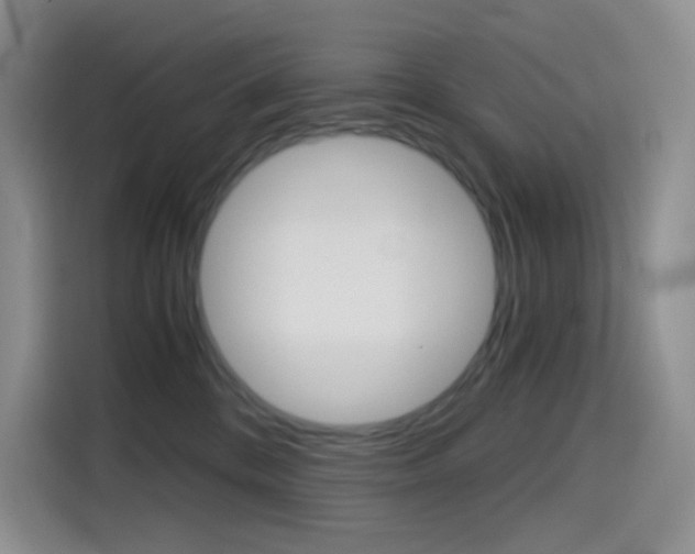 X0000114430328200910161037