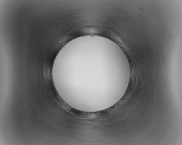 X0000114430330200910161037