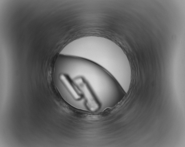 X0000114430332200910161037