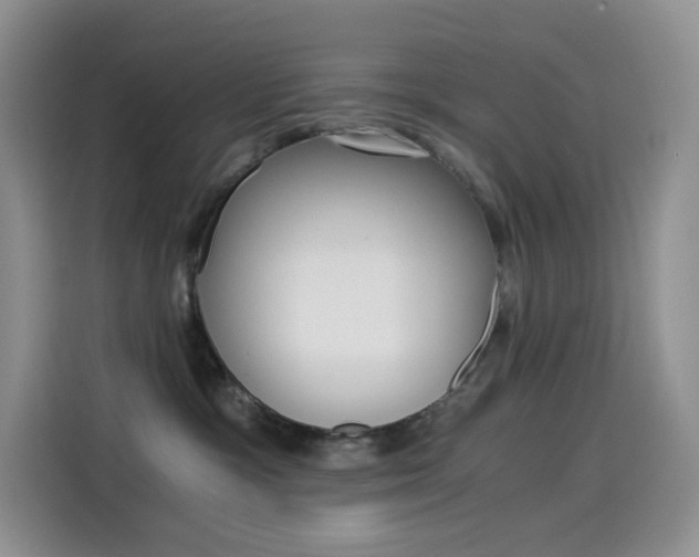 X0000114430333200910161037