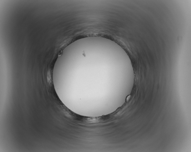 X0000114430335200910161037