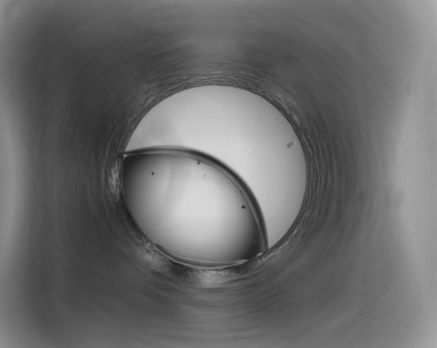 X0000114430336200910161037