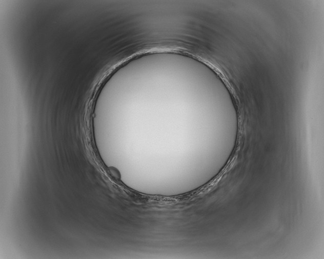 X0000114430337200910161036