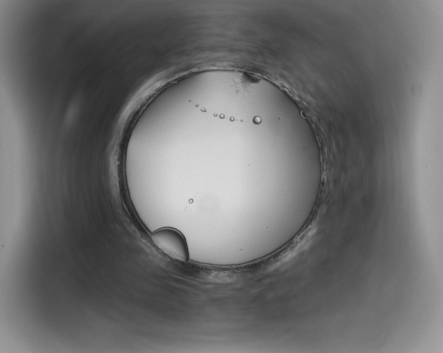 X0000114430341200910161036