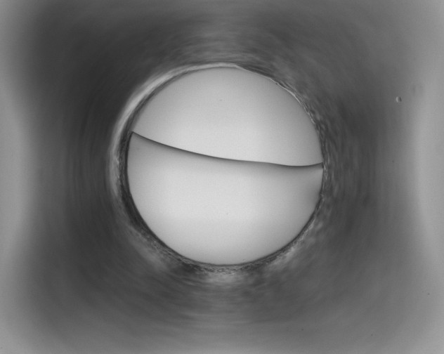 X0000114430342200910161036