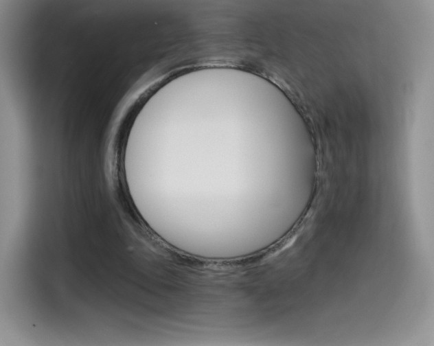 X0000114430343200910161036