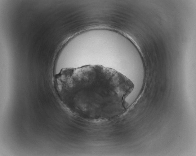 X0000114430345200910161036