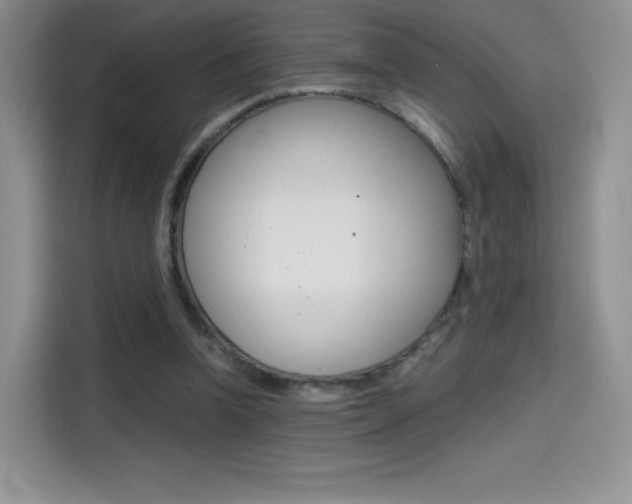 X0000114430346200910161036