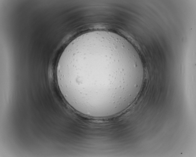 X0000114430347200910161036