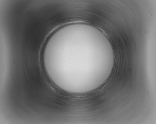 X0000114430350200910161036