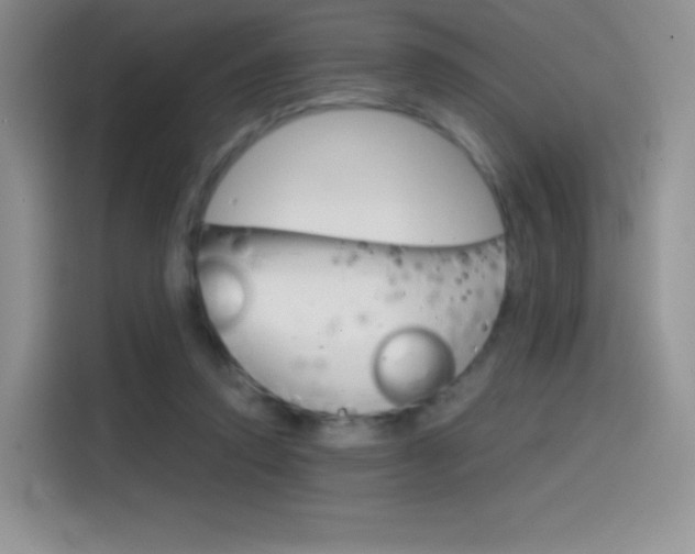 X0000114430354200910161036