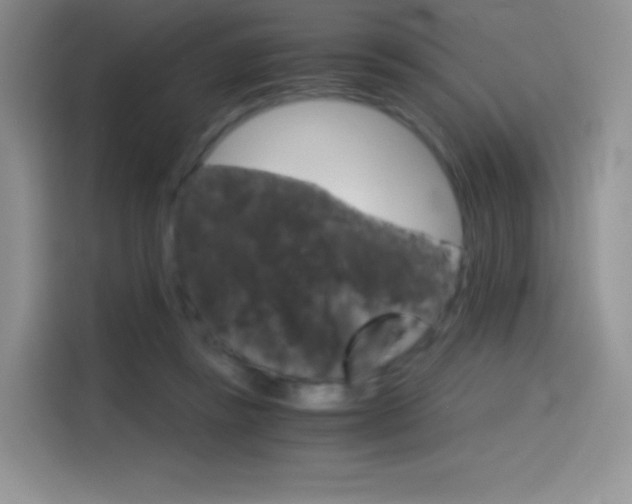 X0000114430355200910161036