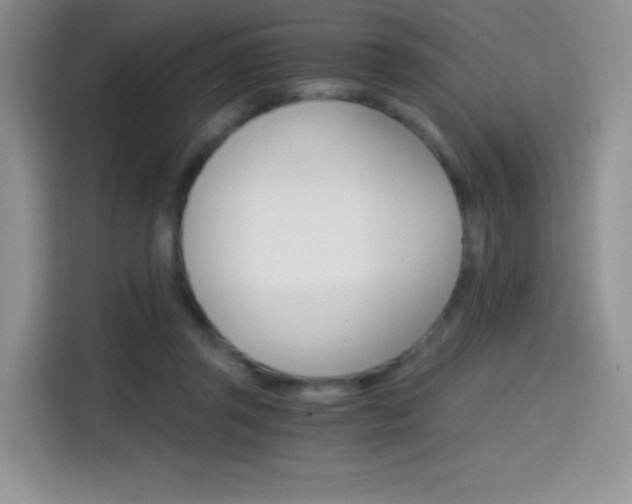 X0000114430357200910161036