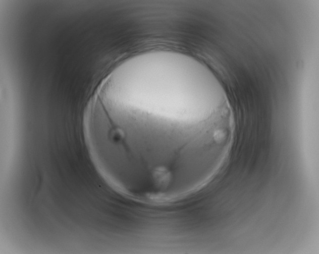 X0000114430359200910161036