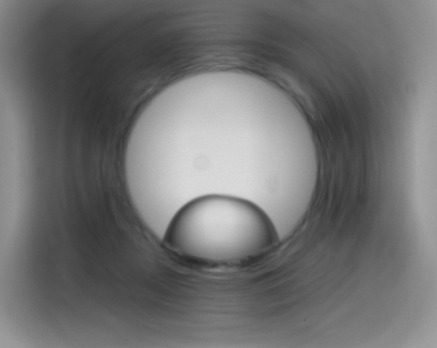 X0000114430362200910161037