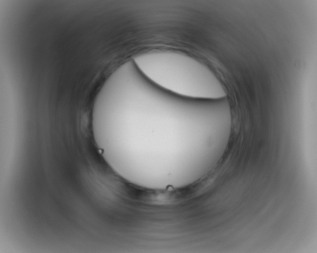 X0000114430365200910161037