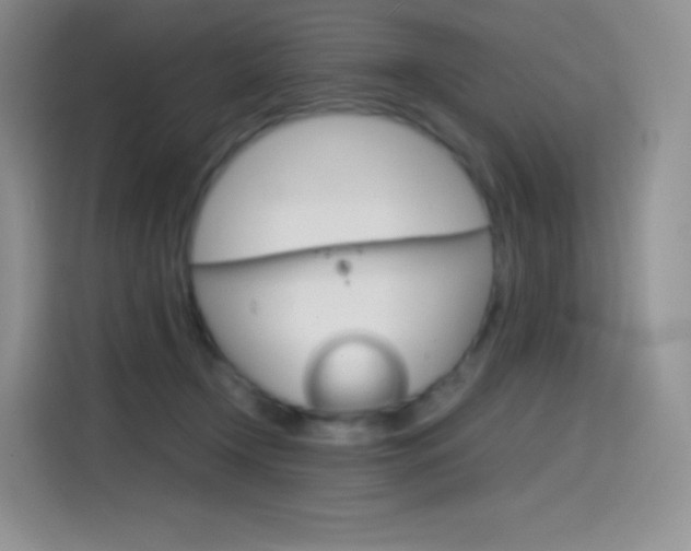 X0000114430366200910161037