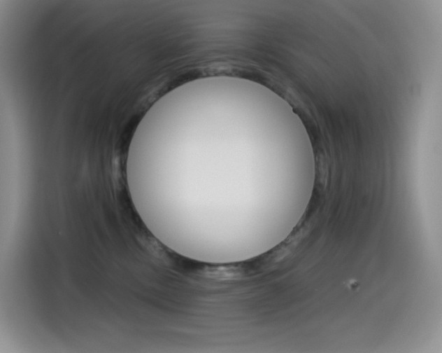 X0000114430378200910161037