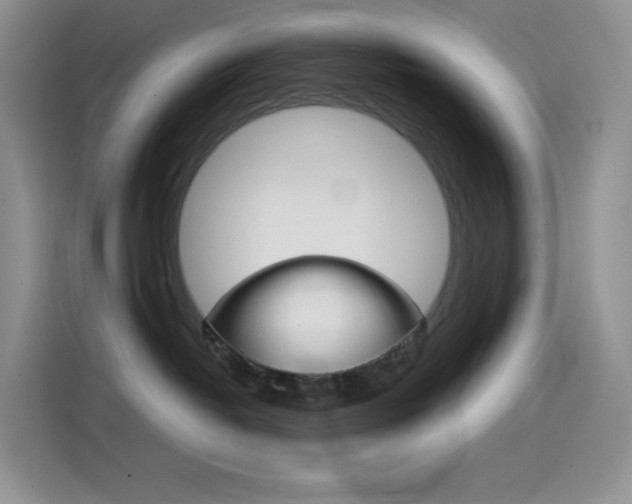 X0000114430382200910161037