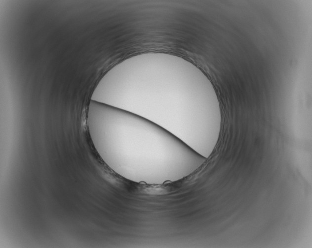 X0000114430383200910161037