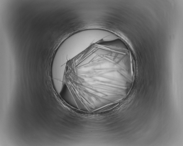 X0000114430385200910161036