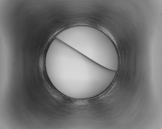 X0000114430386200910161036