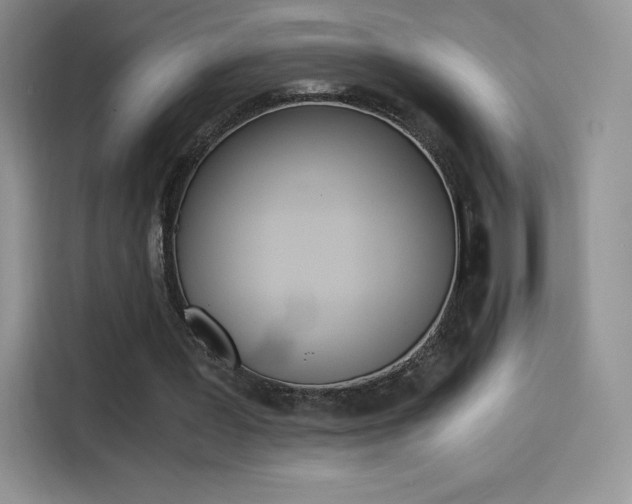 X0000114430387200910161036