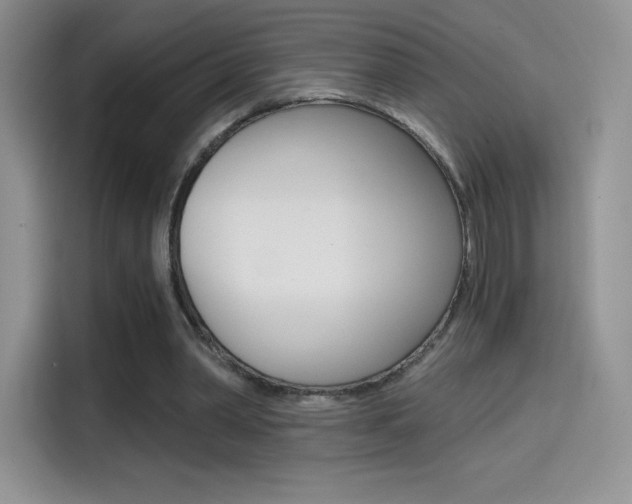 X0000114430390200910161036