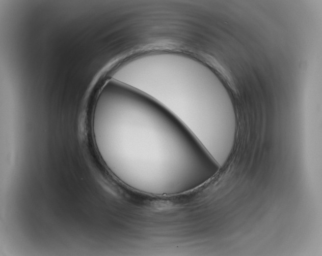 X0000114430392200910161036