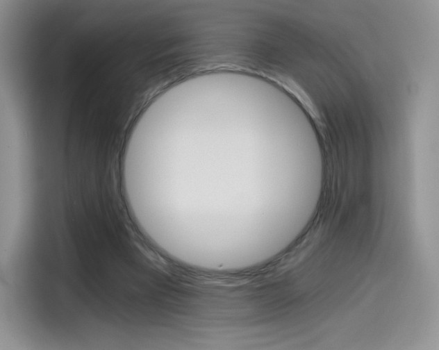 X0000114430393200910161036