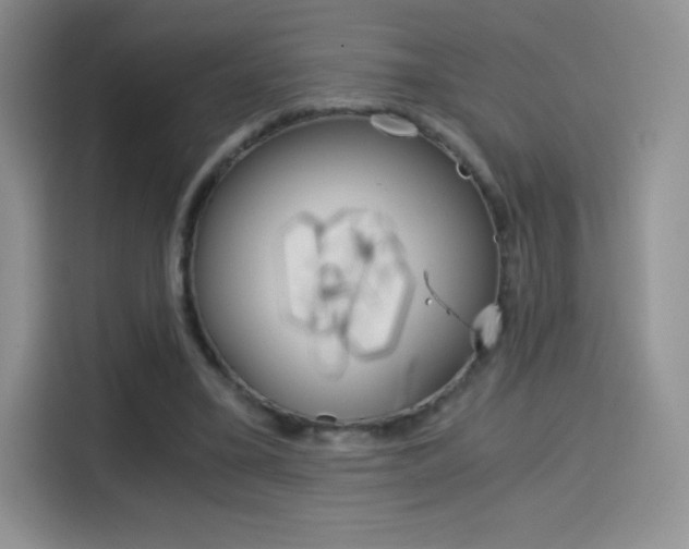 X0000114430395200910161036