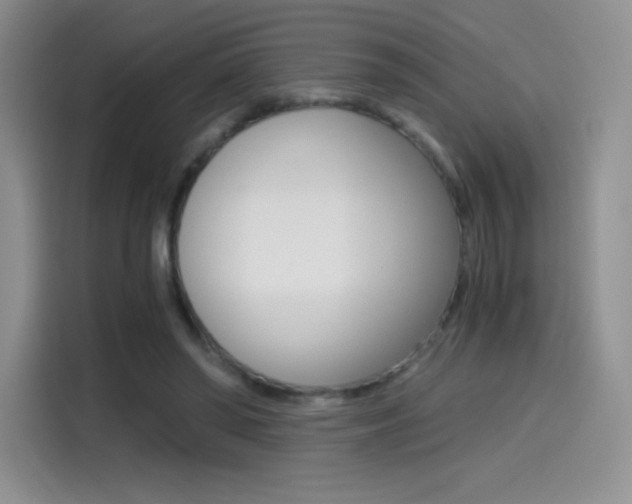 X0000114430398200910161036