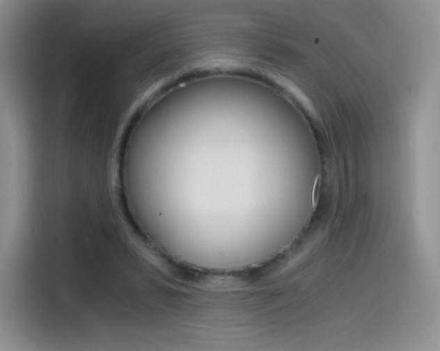 X0000114430399200910161036