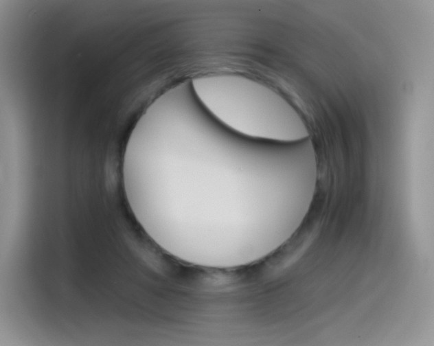 X0000114430402200910161036
