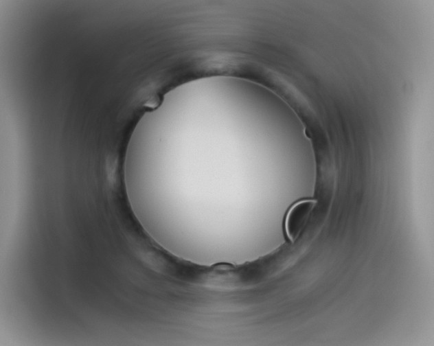 X0000114430403200910161036