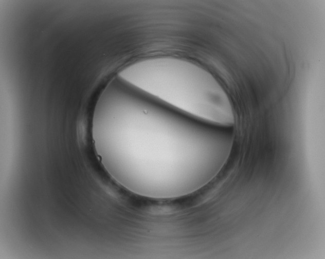X0000114430404200910161036