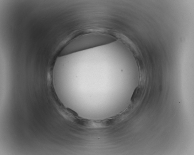 X0000114430405200910161036