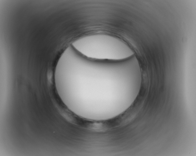 X0000114430406200910161036