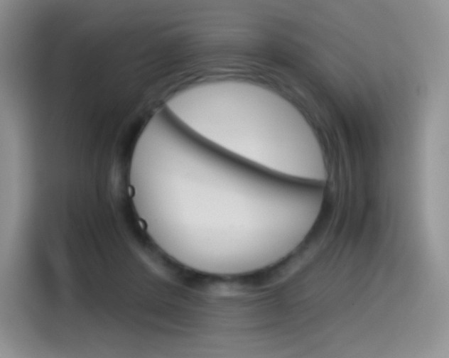 X0000114430408200910161036