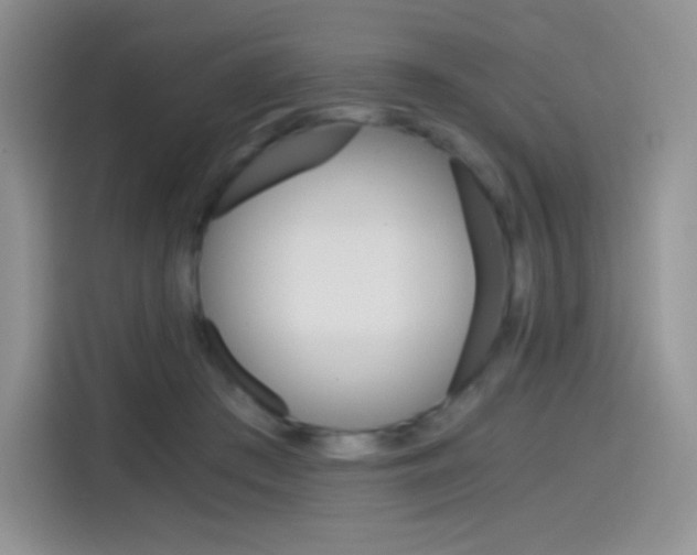 X0000114430409200910161036