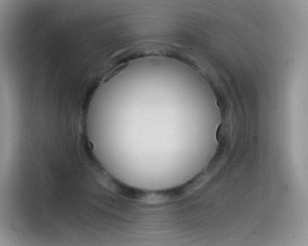 X0000114430413200910161036