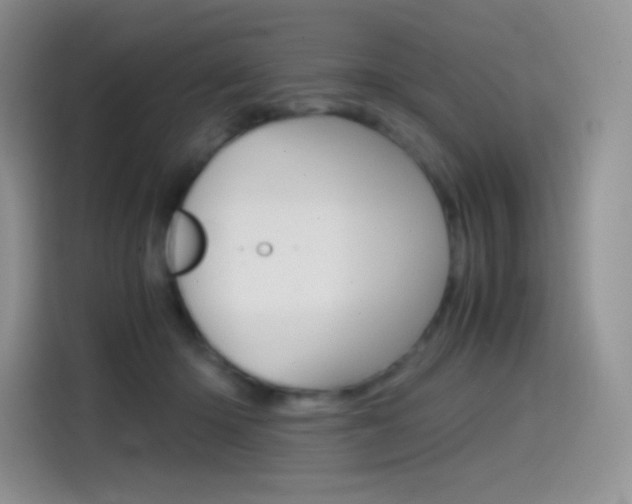 X0000114430414200910161036