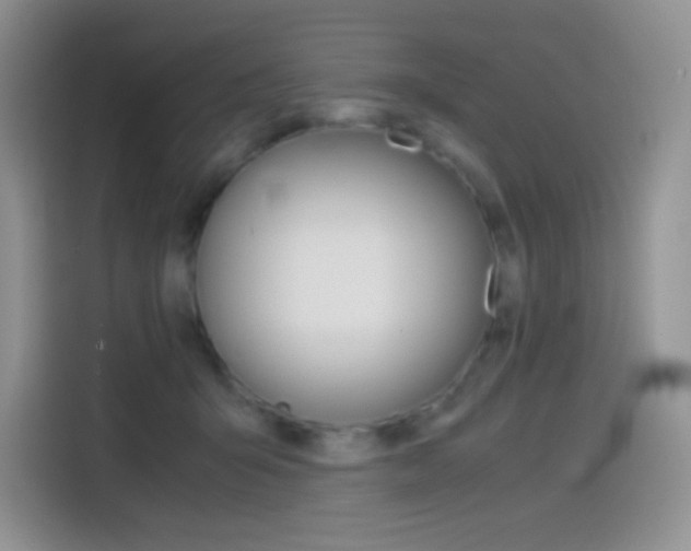 X0000114430415200910161036