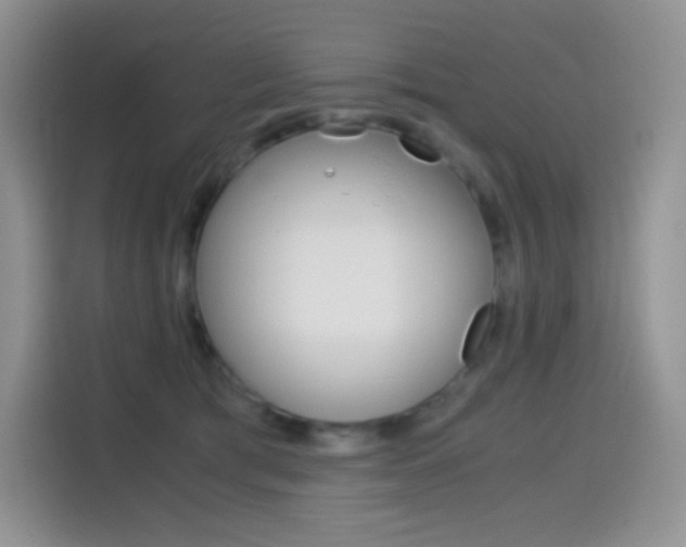 X0000114430417200910161036